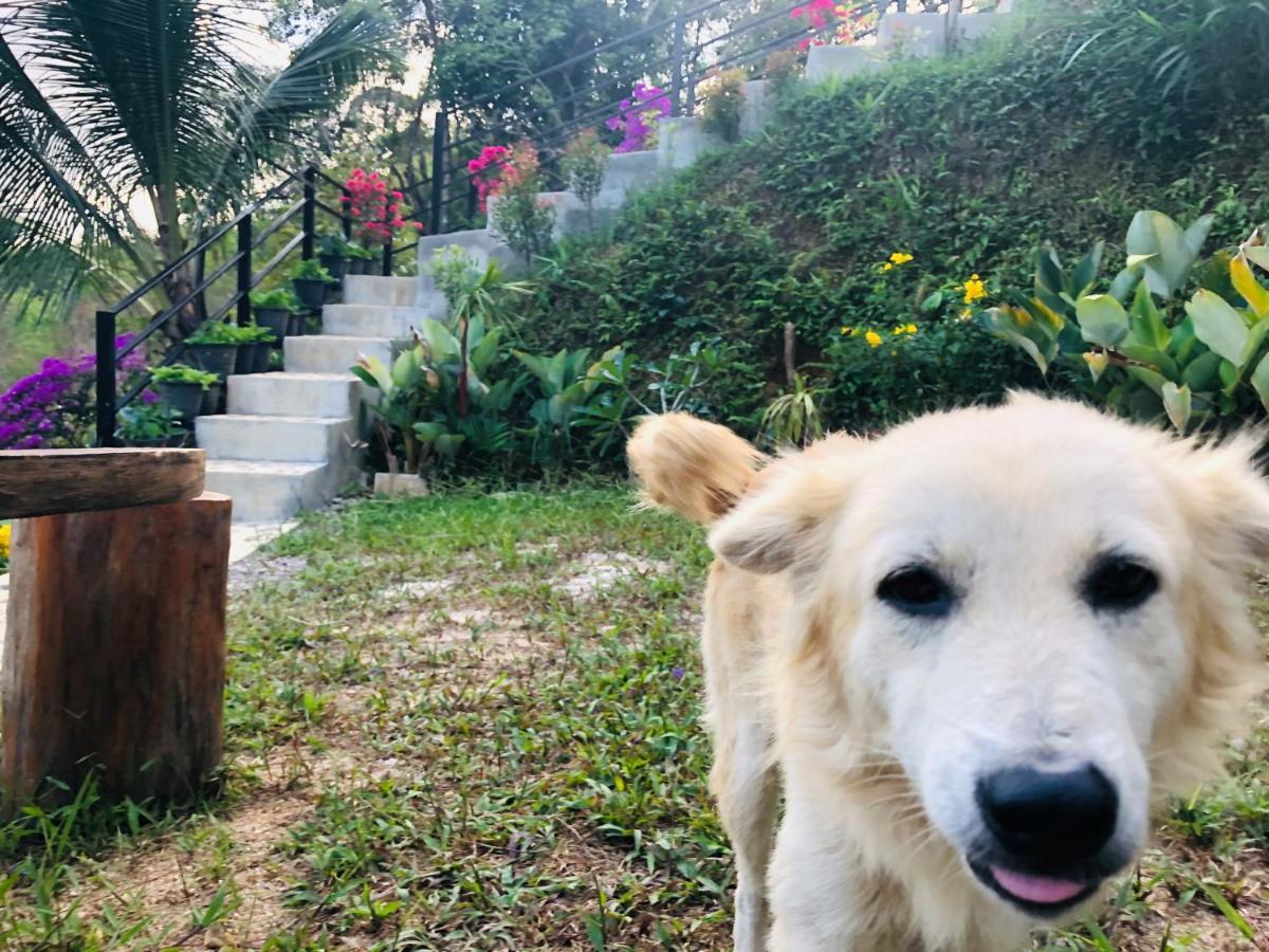 Baanhatsompaen Homestay Ρανόνγκ Εξωτερικό φωτογραφία